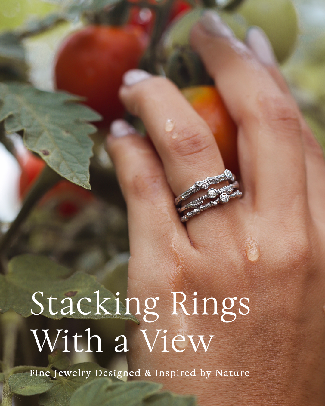 Staticad ringsview elgwrld