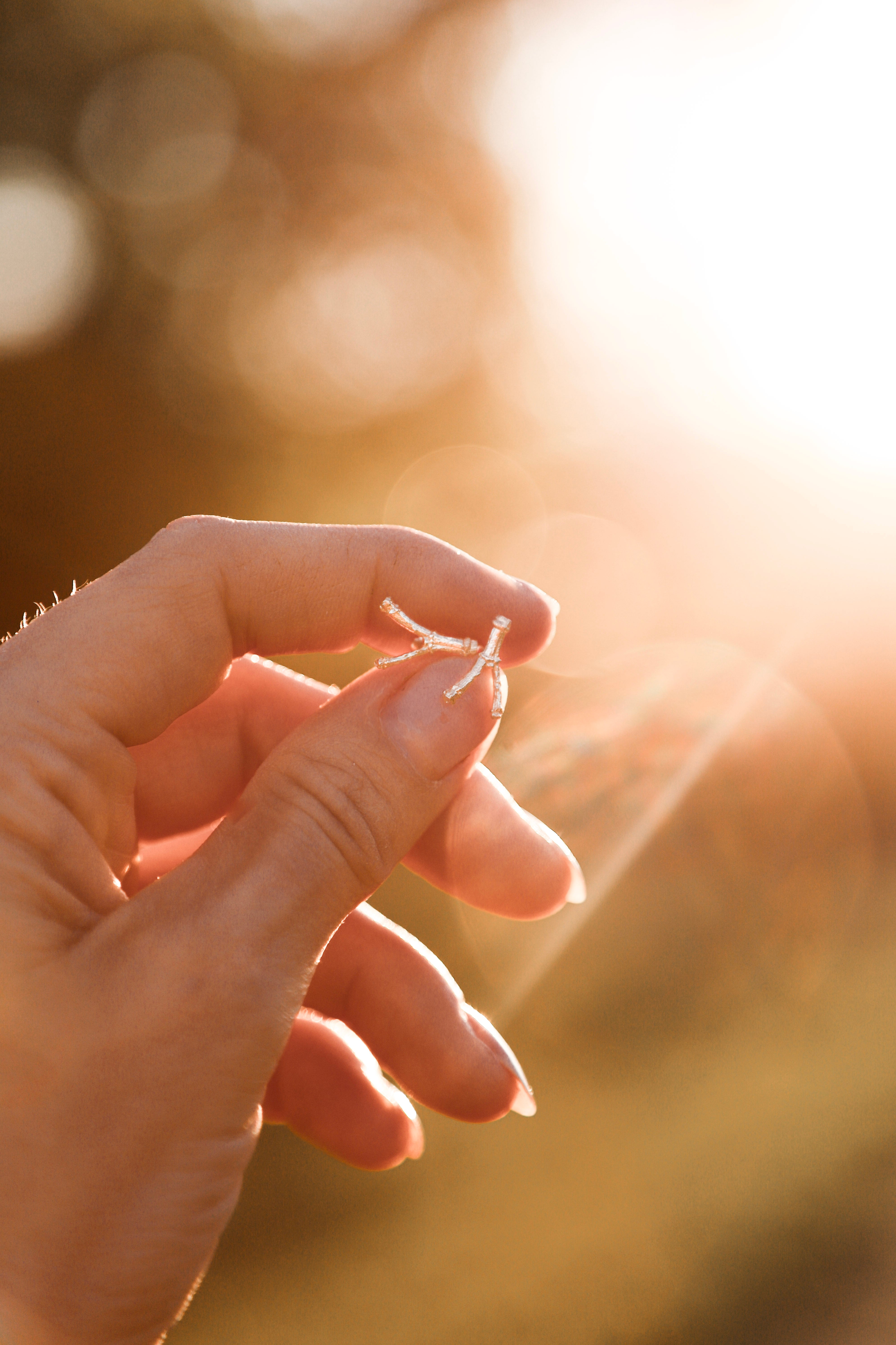 Windfall earring 14k yellow gold model 6773
